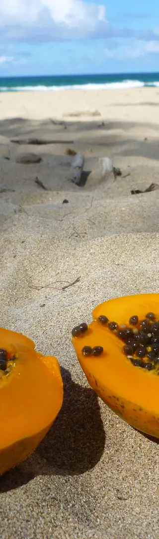 Bye bye Paradise